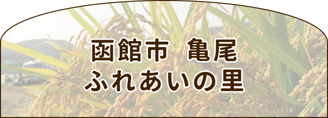 函館市亀尾ふれあいの里